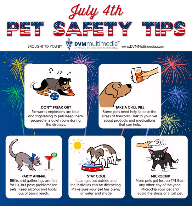 More Pets Go Missing On July 4th Than Any Other Day. Here Are Tips To Keep The Safe This Weekend. - picture 4