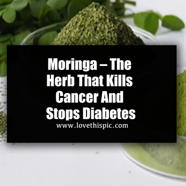 Moringa – The Herb That Kills Cancer And Stops Diabetes