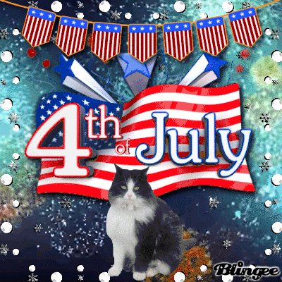 Most Patriotic 4th Of July Gifs For 2022 - picture 4
