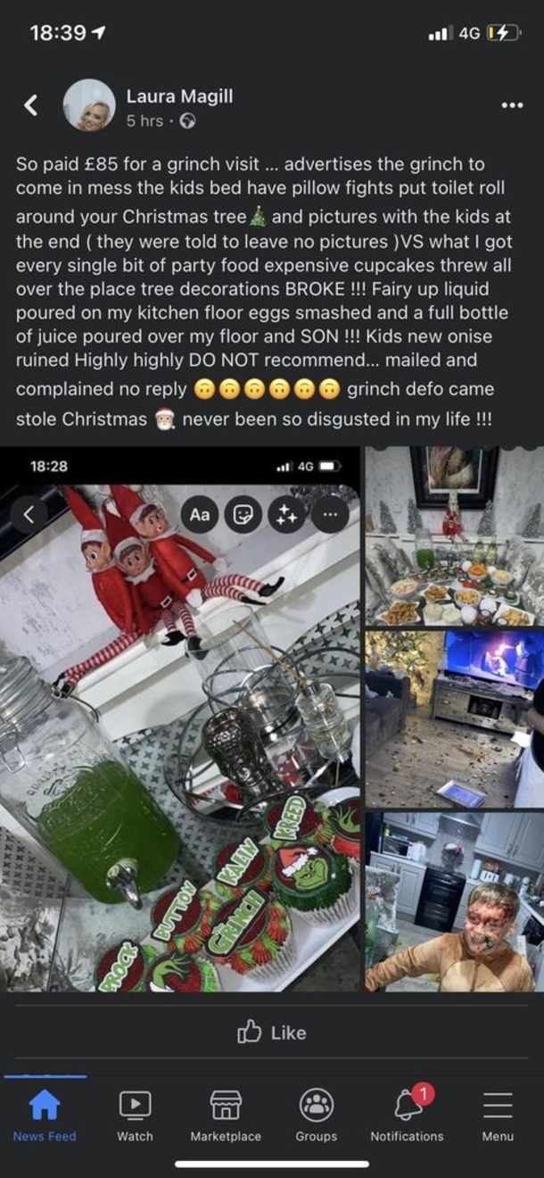 Mother hires ‘Grinch’ to ‘ruin Christmas’ as a prank, but is in shock when she gets what she paid for - picture 2