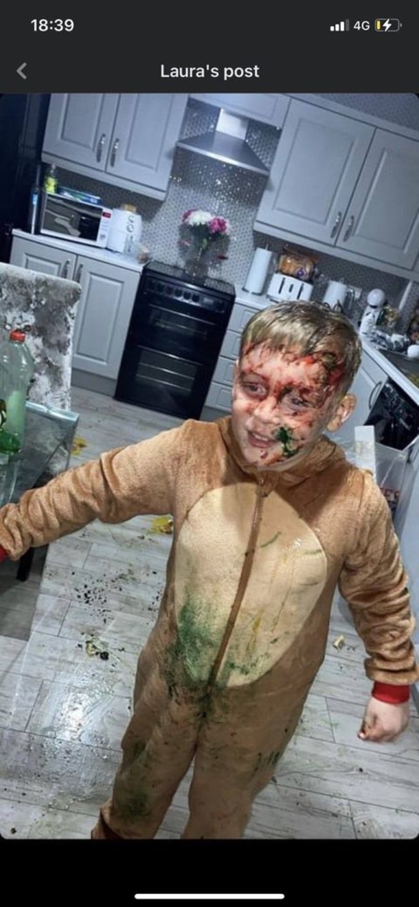 Mother hires ‘Grinch’ to ‘ruin Christmas’ as a prank, but is in shock when she gets what she paid for - picture 3