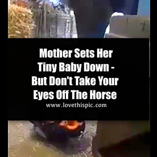 Mother Sets Her Tiny Baby Down - But Don't Take Your Eyes Off The Horse