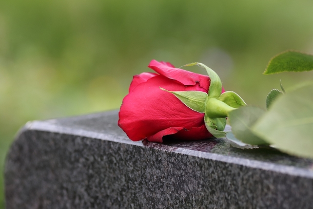 Mother visiting son’s grave for his ‘first birthday in heaven’ is killed by gunfire – rest in peace - picture 3