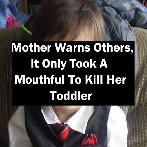 Mother Warns Others, It Only Took A Mouthful To Kill Her Toddler