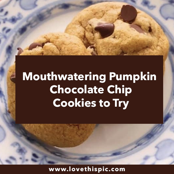 Mouthwatering Pumpkin Chocolate Chip Cookies to Try