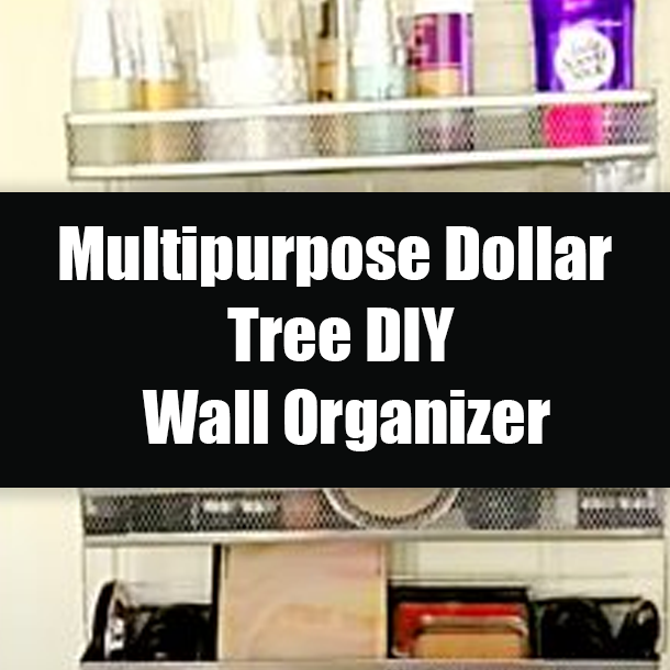Multipurpose Dollar Tree DIY Wall Organizer