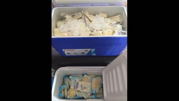 Murdered Police Officer's Husband Struggling To Cope And Raise Their Child, Suddenly Gets Shocking 32lb. Delivery - picture 4