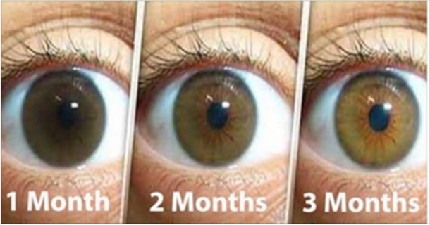 Natural Remedy For Cleaning Your Eyes and Improving Vision in Only 3 Months: Here is What You Need to Do to Avoid Surgery! - picture 2