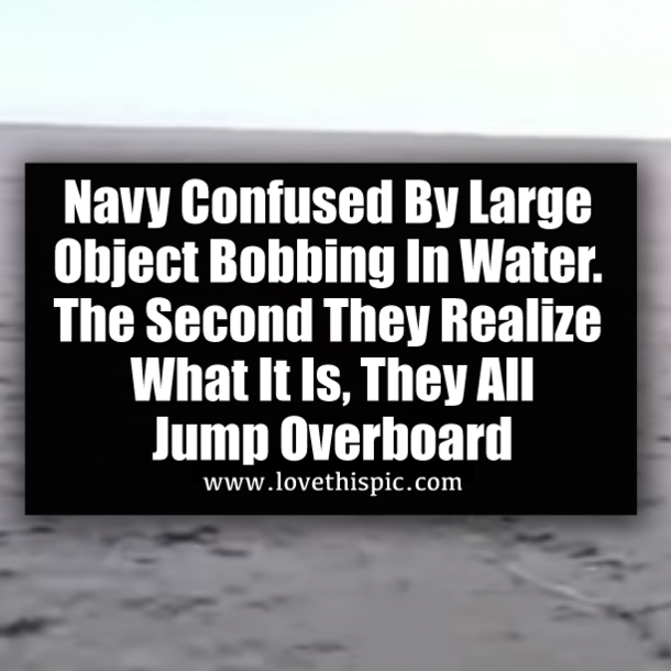 Navy Confused By Large Object Bobbing In Water. The Second They Realize What It Is, They All Jump Overboard