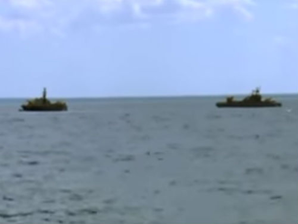 Navy Confused By Large Object Bobbing In Water. The Second They Realize What It Is, They All Jump Overboard - picture 2