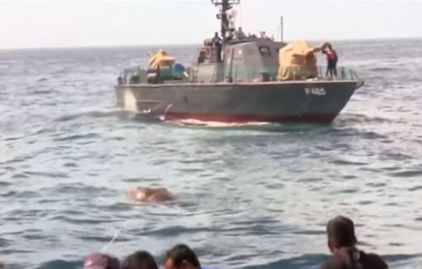 Navy Confused By Large Object Bobbing In Water. The Second They Realize What It Is, They All Jump Overboard - picture 3