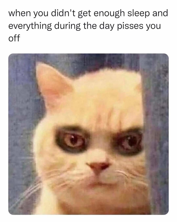 Need a Laugh? Check Out These 10 Hilarious Memes to Cure Your Boredom! - picture 3