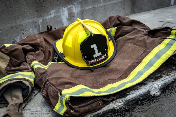 Neighbors come together to help rescue 115 dogs trapped in doggy daycare fire - picture 5