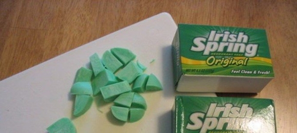 Neighbors Finally Figure Out Why Woman Was Putting Irish Spring Soap In Yard - picture 2
