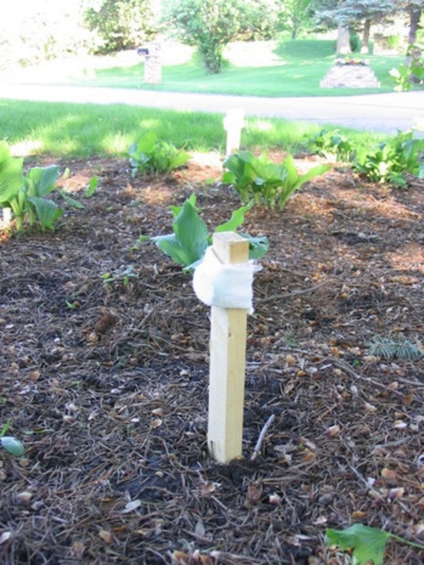 Neighbors Finally Figure Out Why Woman Was Putting Irish Spring Soap In Yard - picture 6