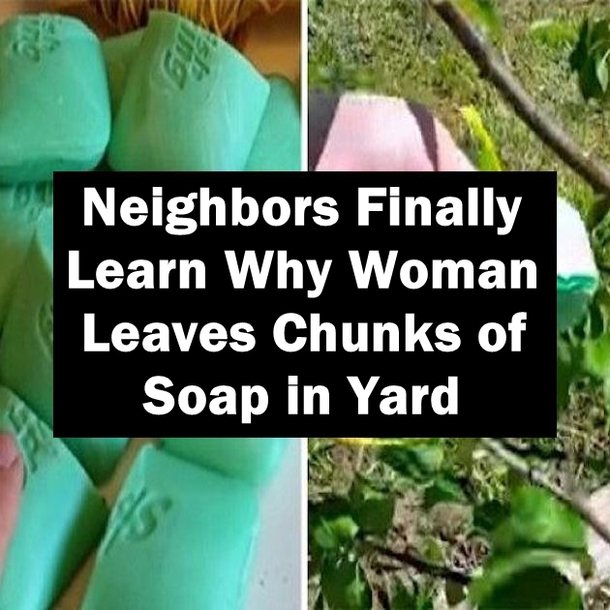 Neighbors Finally Learn Why Woman Leaves Chunks of Soap in Yard
