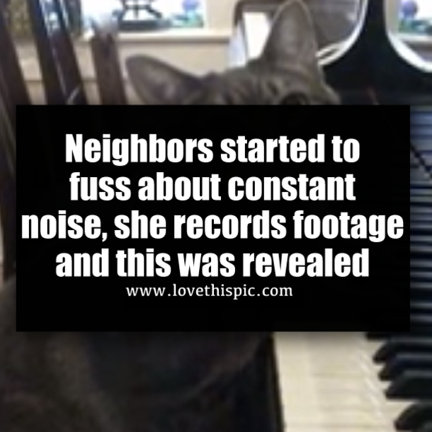 Neighbors started to fuss about constant noise, she records footage and this was revealed