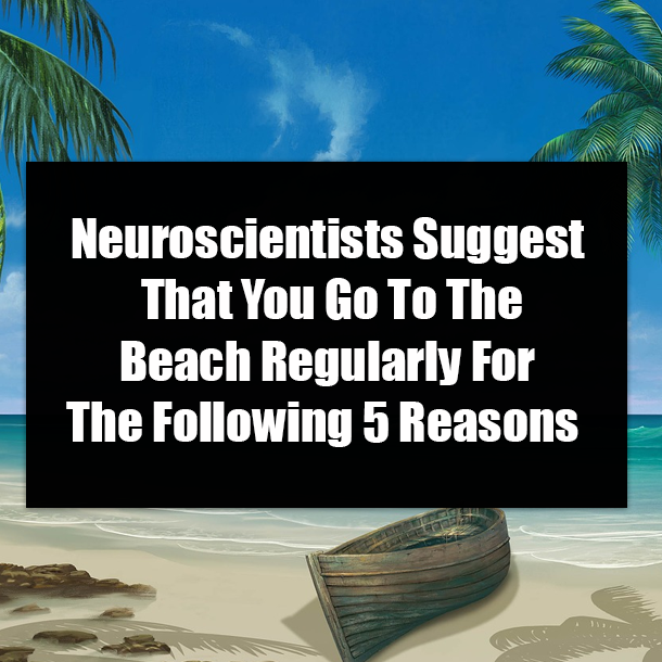 Neuroscientists Suggest That You Go To The Beach Regularly For The Following 5 Reasons
