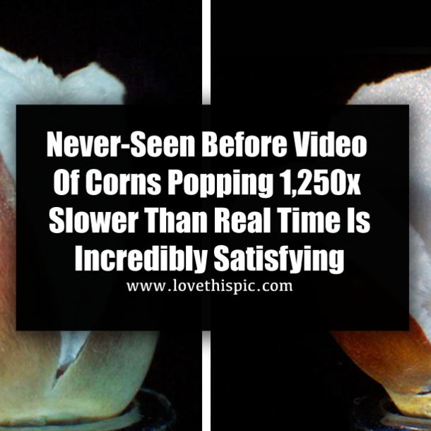 Never-Seen Before Video Of Corns Popping 1,250x Slower Than Real Time Is Incredibly Satisfying