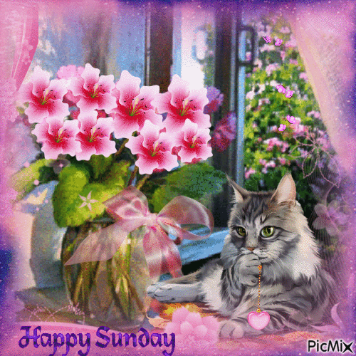 New Sunday Animated Quotes, Blessings And Sayings - picture 16