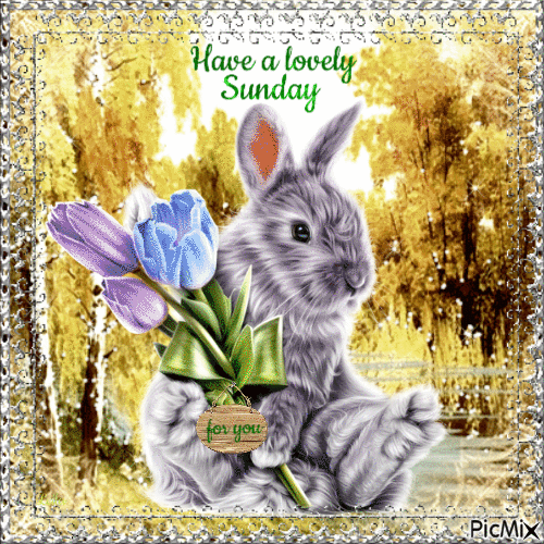 New Sunday Animated Quotes, Blessings And Sayings - picture 18