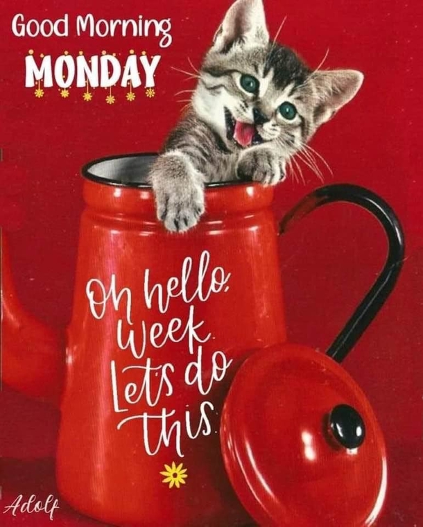 New Week & New Blessings: 100+ Happy Monday Quotes - picture 4