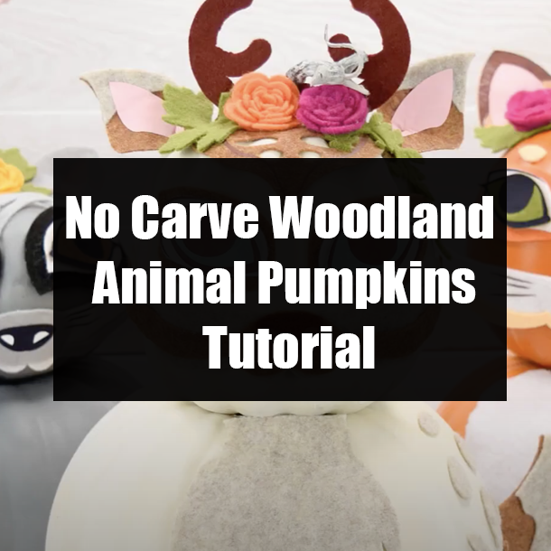 No Carve Woodland Animal Pumpkins Tutorial