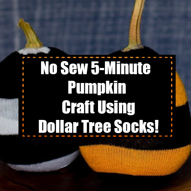 No Sew 5-Minute Pumpkin Craft Using Dollar Tree Socks!
