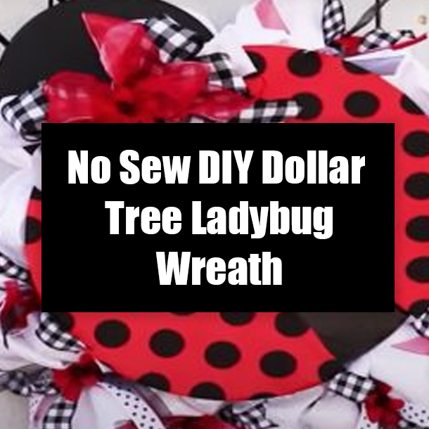 No Sew DIY Dollar Tree Ladybug Wreath