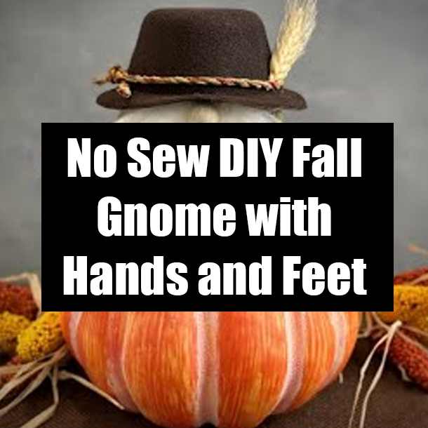 No Sew DIY Fall Gnome with Hands and Feet