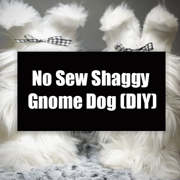 No Sew Shaggy Gnome Dog (DIY)