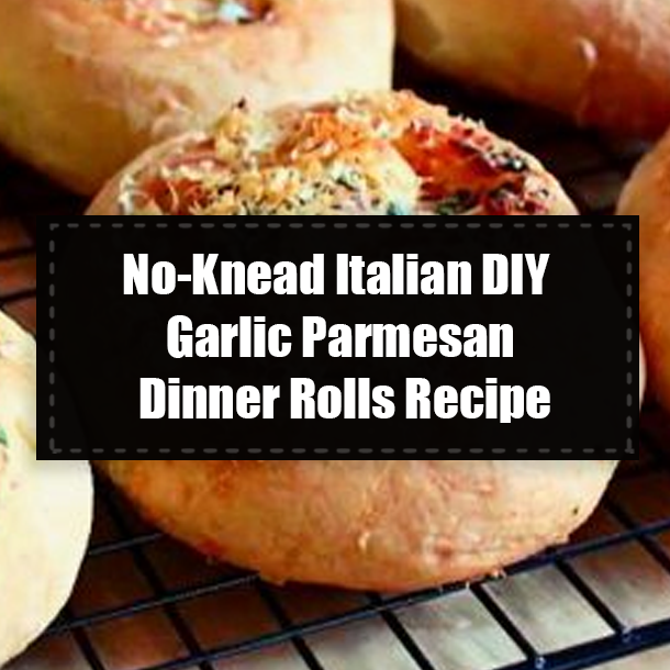 No-Knead Italian DIY Garlic Parmesan Dinner Rolls Recipe