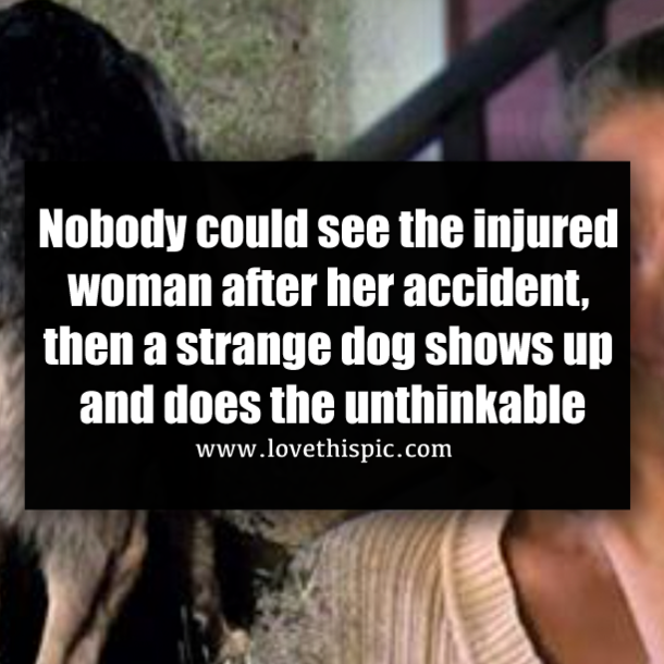 Nobody could see the injured woman after her accident, then a strange dog shows up and does the unthinkable