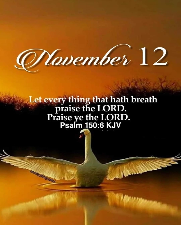 November 12 Quotes & Messages Full Of Inspiration - picture 3