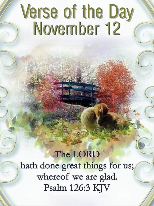 November 12 Quotes & Messages Full Of Inspiration - picture 9
