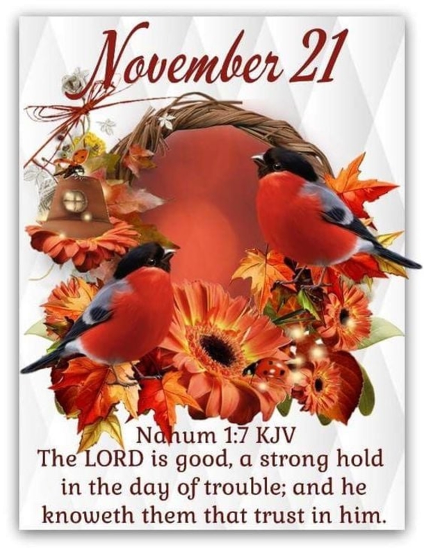 November 21 Images With Inspiring Quotes - picture 2