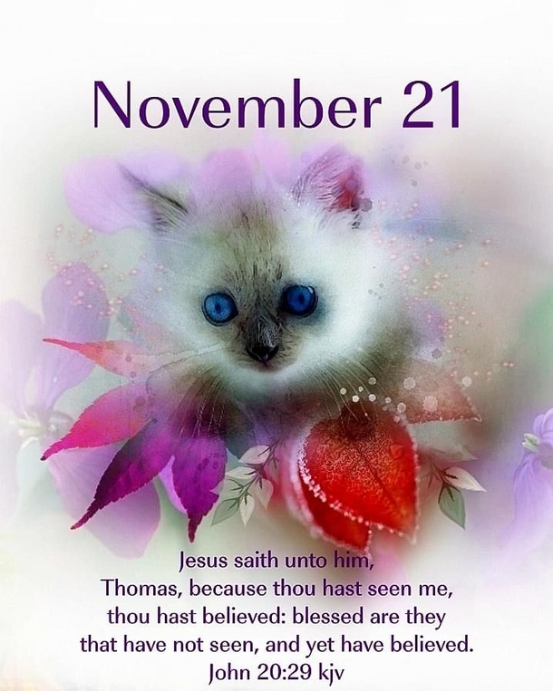 November 21 Images With Inspiring Quotes - picture 3