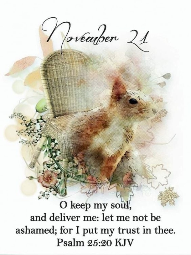 November 21 Images With Inspiring Quotes - picture 7