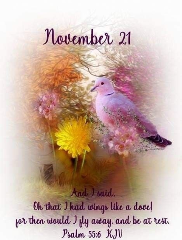 November 21 Images With Inspiring Quotes - picture 8