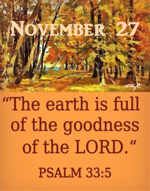 November 27 Quotes With Inspiring And Beautiful Messages - picture 5