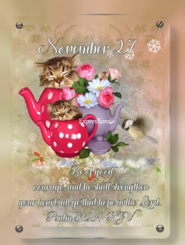November 27 Quotes With Inspiring And Beautiful Messages - picture 7