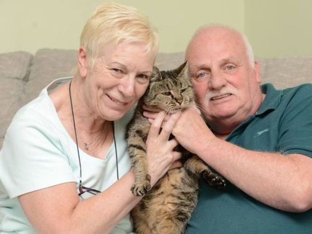 Nutmeg, The Thirty-One Year Old Cat, Might Be Immortal - picture 4