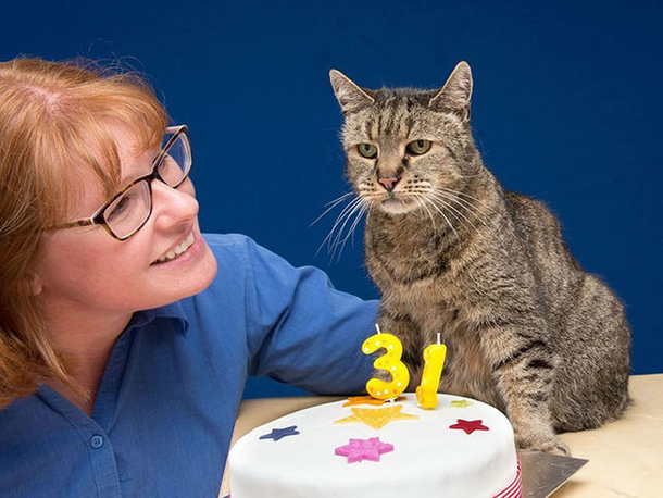 Nutmeg, The Thirty-One Year Old Cat, Might Be Immortal - picture 5