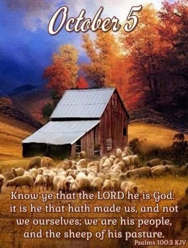 October 5 Quotes, Blessings And Messages To Brighten Your Day - picture 9