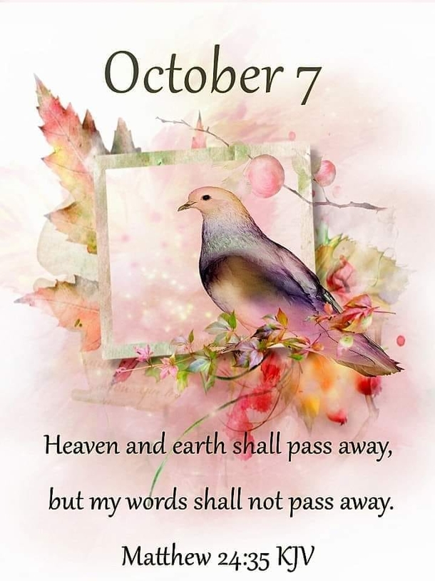 October 7 Quotes And Sayings For An Inspiring Day - picture 5