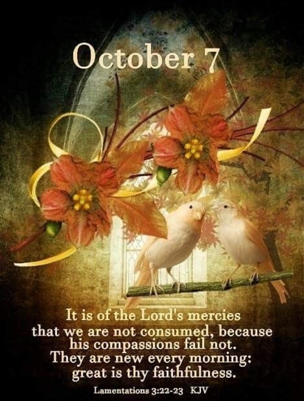 October 7 Quotes And Sayings For An Inspiring Day - picture 9
