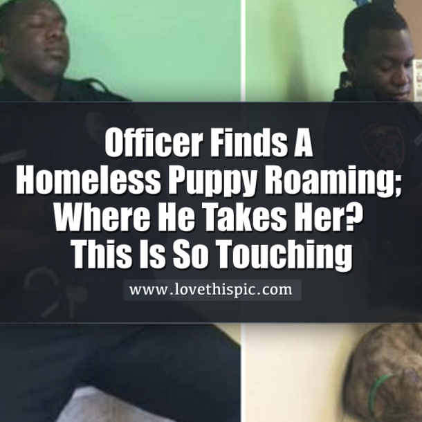 Officer Finds A Homeless Puppy Roaming; Where He Takes Her? This Is So Touching