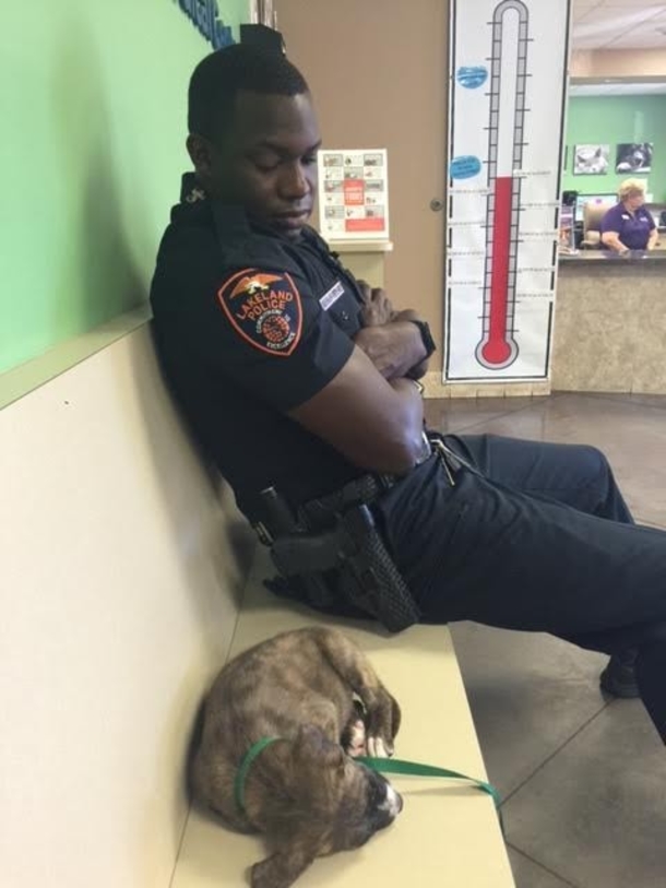 Officer Finds A Homeless Puppy Roaming; Where He Takes Her? This Is So Touching - picture 3