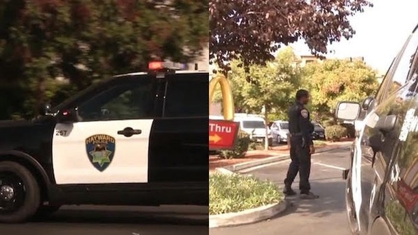 Officer Pulls Woman Over For Expired Tags, Looks Inside Car, Realizes What's Going On, Takes Action - picture 2