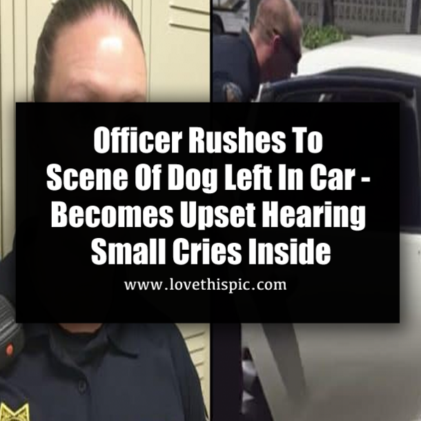 Officer Rushes To Scene Of Dog Left In Car - Becomes Upset Hearing Small Cries Inside